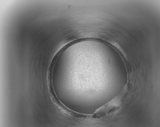 X0000066960983200604072000