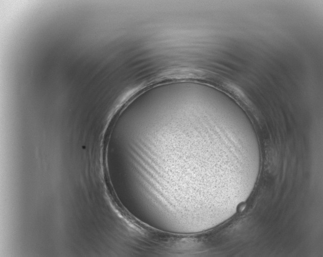 X0000066960986200604072000