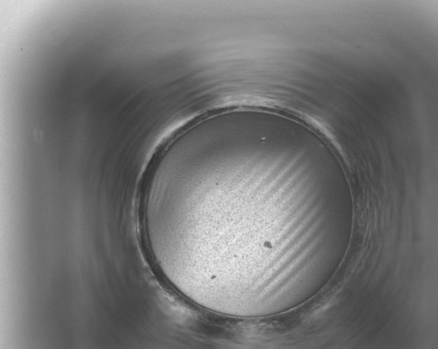 X0000066960987200604072000