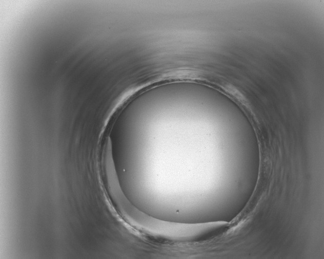 X0000066960989200604072000