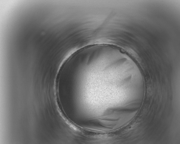 X0000066960990200604072000