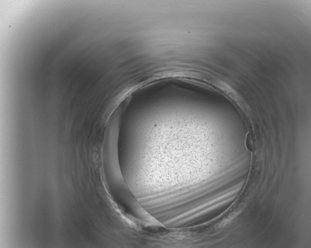 X0000066960993200604072000