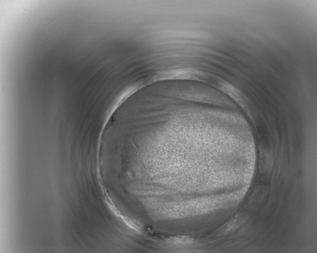 X0000066960994200604072000