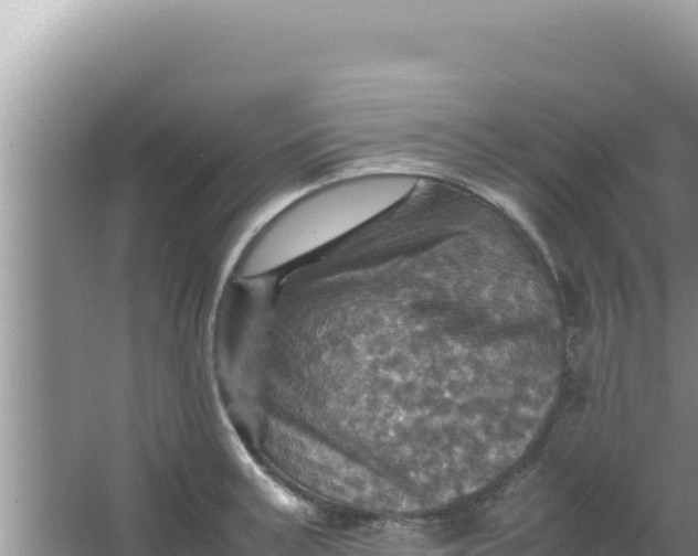 X0000066960995200604071959