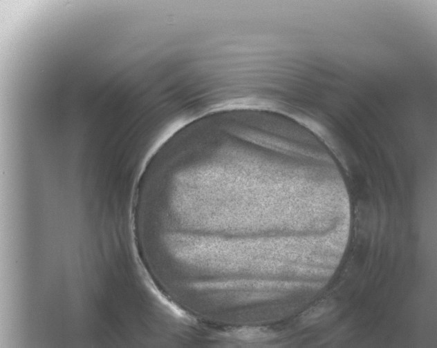 X0000066960998200604071959