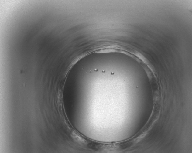 X0000066961001200604071959