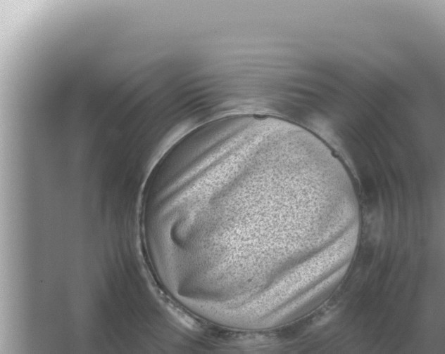 X0000066961002200604071959