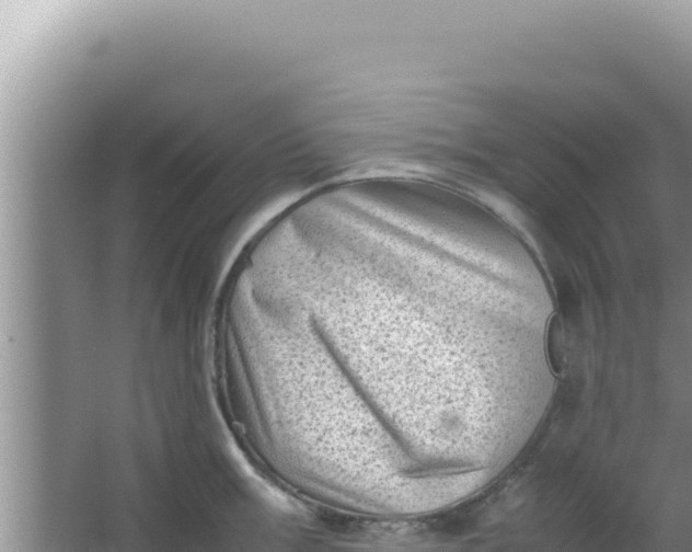 X0000066961003200604071959