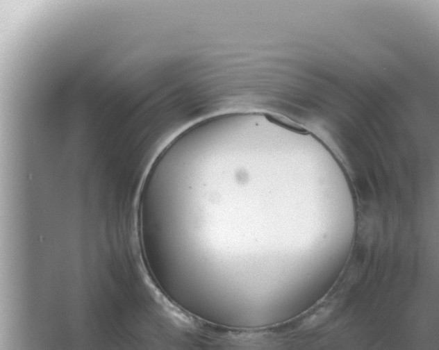 X0000066961004200604071959