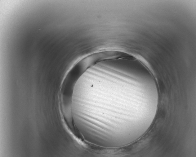 X0000066961005200604071959