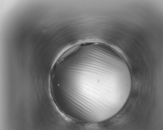 X0000066961006200604071959