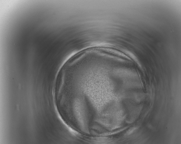 X0000066961007200604071959