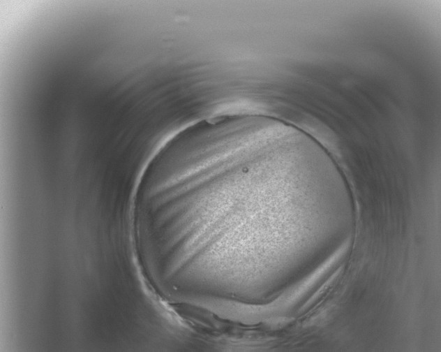 X0000066961008200604071959