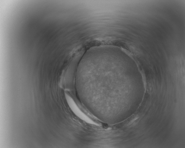 X0000066961010200604071958