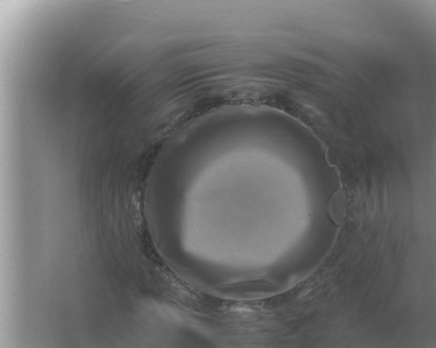 X0000066961013200604071959