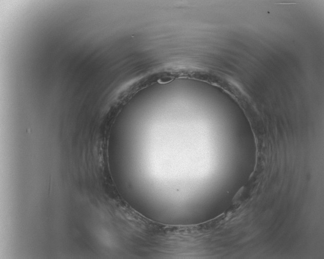 X0000066961016200604071959