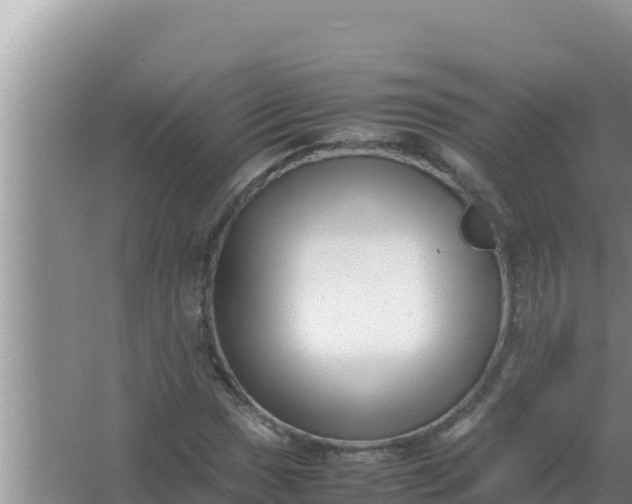 X0000066961017200604071959