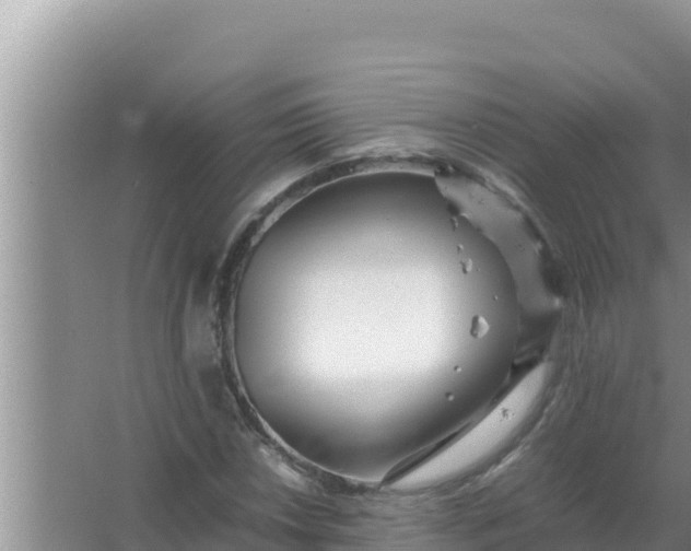 X0000066961018200604071959