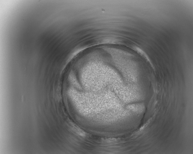 X0000066961019200604071959