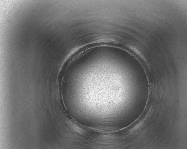 X0000066961021200604071959