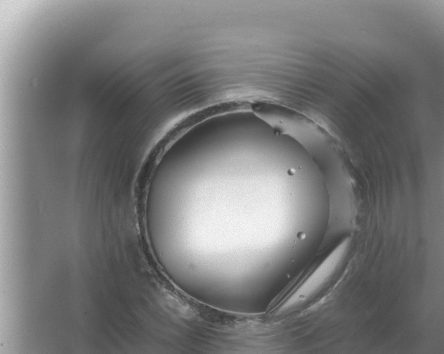 X0000066961022200604071959