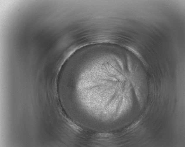 X0000066961023200604071959