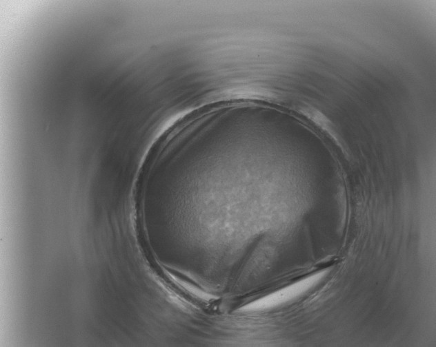 X0000066961024200604071959