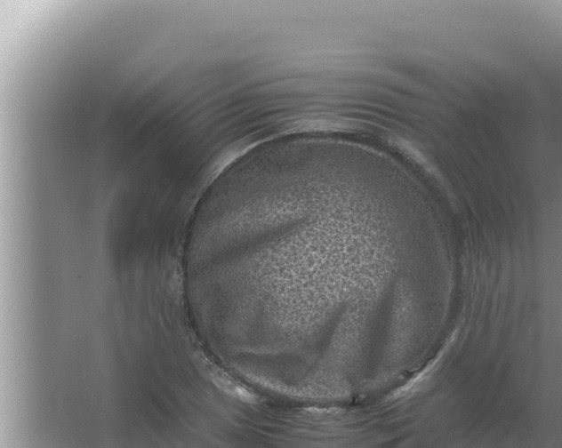 X0000066961025200604071959