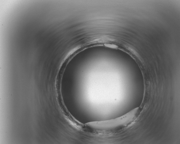 X0000066961026200604071959