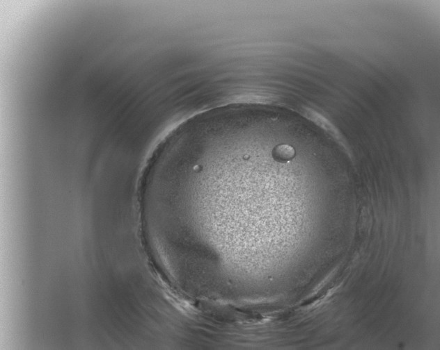 X0000066961027200604071959