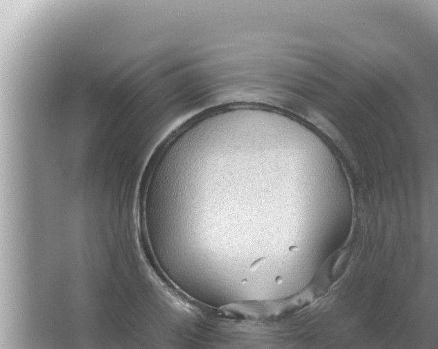 X0000066961028200604071959