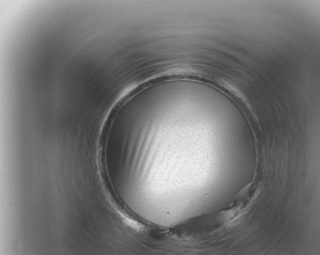 X0000066961029200604071959