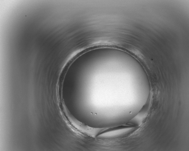 X0000066961030200604071959