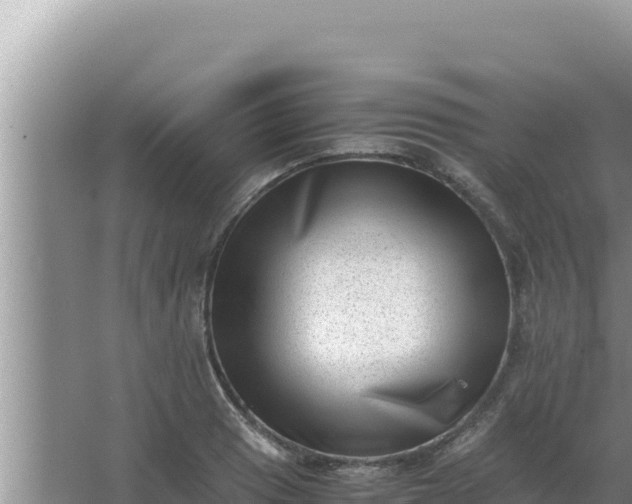 X0000066961033200604071959