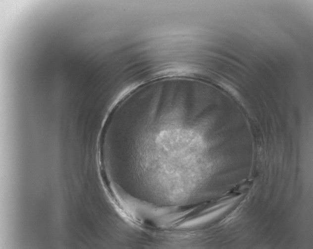 X0000066961034200604071959