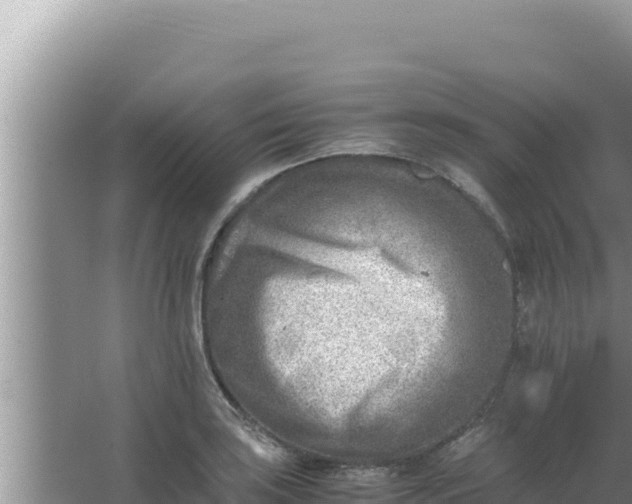 X0000066961035200604071959