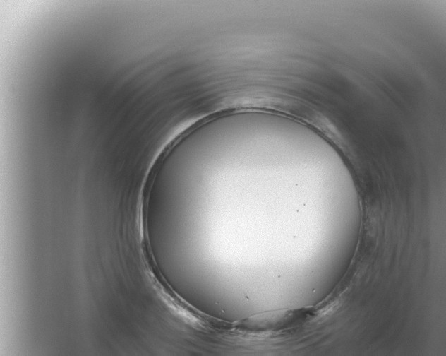 X0000066961036200604071959