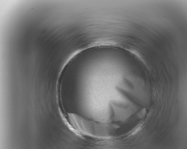 X0000066961038200604071959