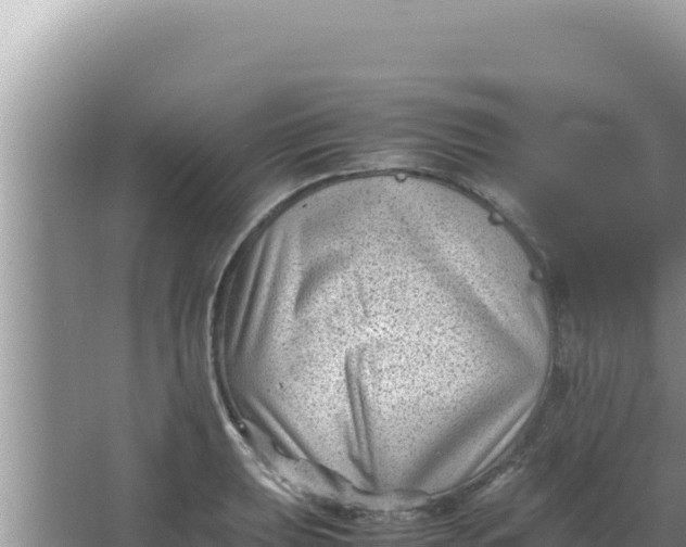 X0000066961039200604071959