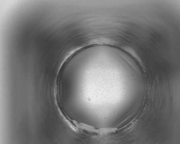 X0000066961040200604071959