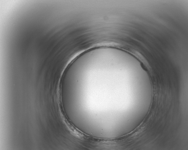 X0000066961044200604071959