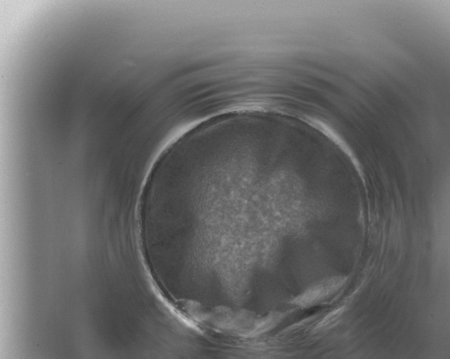 X0000066961045200604071959