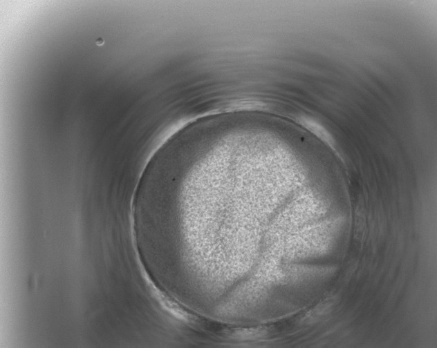 X0000066961047200604071959