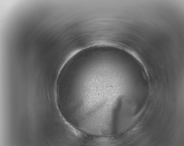 X0000066961048200604071959