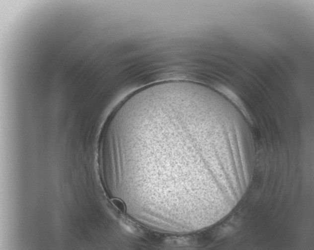 X0000066961051200604071959