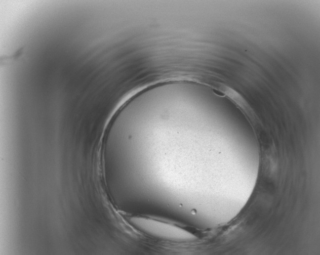 X0000066961052200604071959