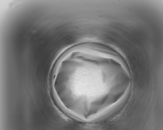 X0000066961056200604071959