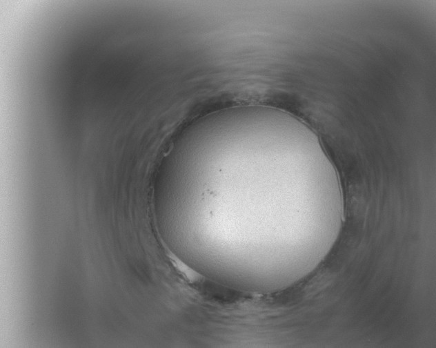 X0000066961057200604071958