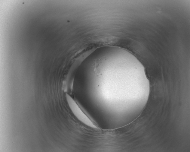 X0000066961058200604071958