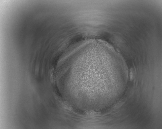 X0000066961059200604071958